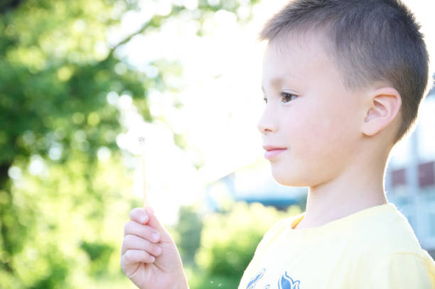 istock Little boy blowing dandelion flower at summer 807405650