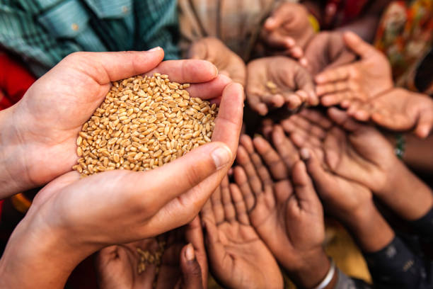 istock Poor Indian children asking for food, India 807405670
