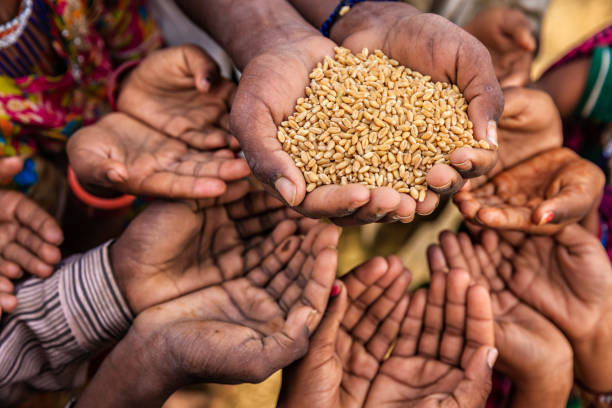 시장하십니까 중유럽식 어린이 요청하는 음식, 아프리카 - africa child ethiopian culture people 뉴스 사진 이미지