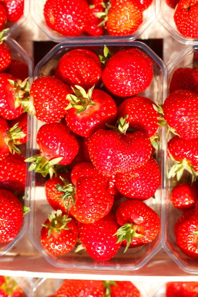 istock German strawberries at a market stall in plastic bowls 807410188