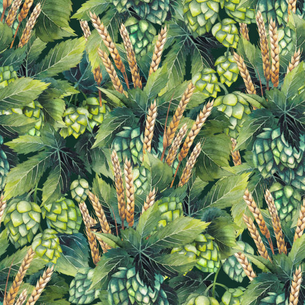 Watercolor hop and malt Watercolor hops and malts. Hand painted seamless pattern water colour beer hops stock illustrations