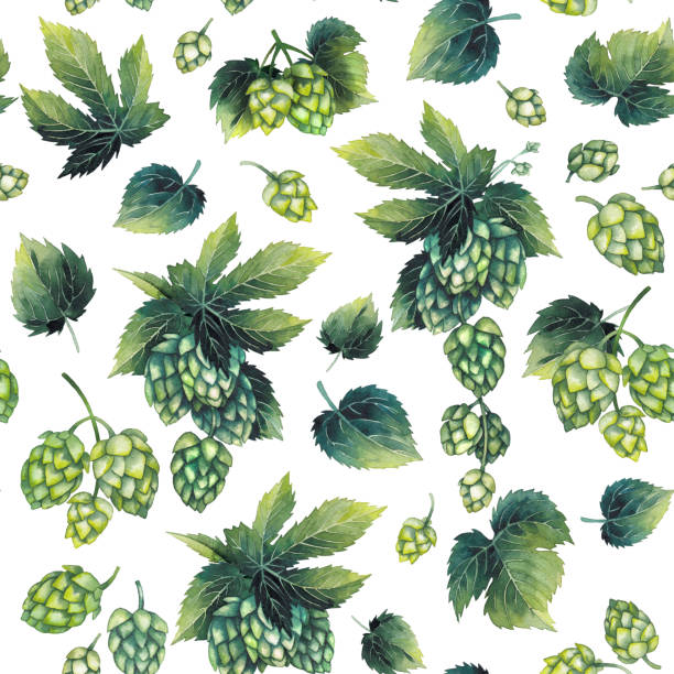Watercolor hops pattern Watercolor hops on the branch. Hand painted seamless pattern hops crop illustrations stock illustrations