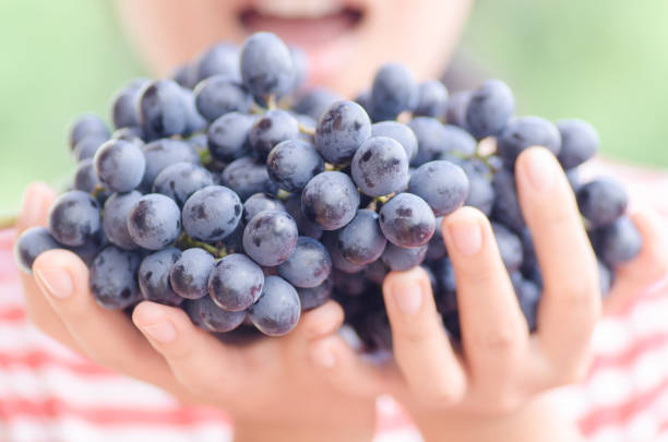 istock Woman holding red grape in hand 807431228