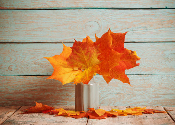 istock maples in vase on wooden background 807434892