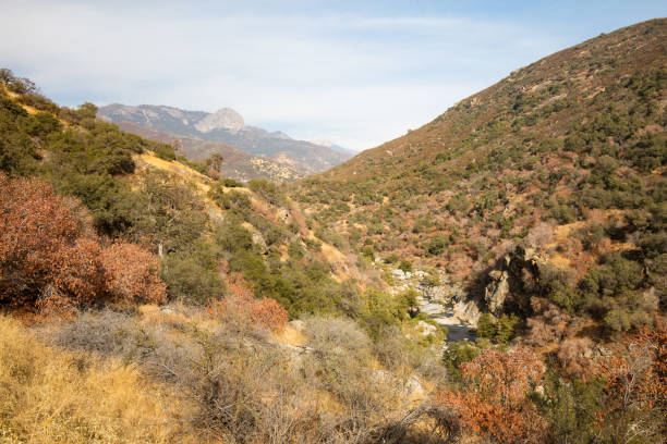 istock Sequoia National Park Entrance Valley View 807451910