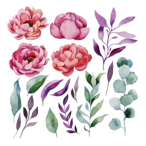 Watercolor floral set Watercolor floral set. Hand painted floral design element stock illustrations