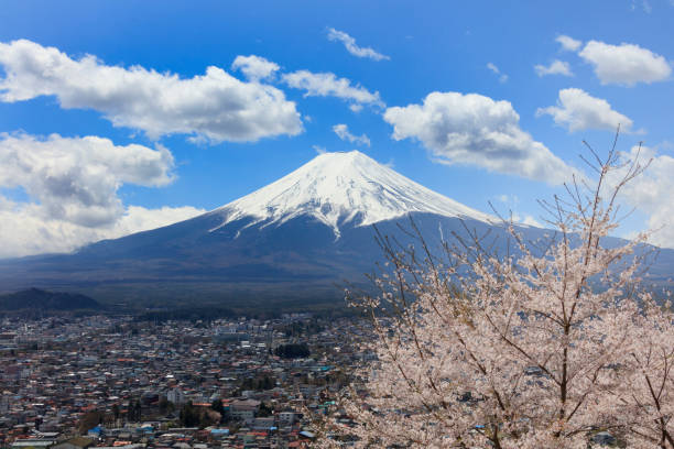 istock Cherry blossoms in spring and Mount Fuji With UFO 807511624