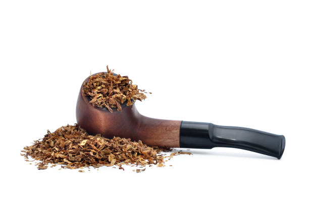 Smoking pipe and tobacco isolated on white background Smoking pipe and tobacco isolated on white background. nicotiana rustica photos stock pictures, royalty-free photos & images