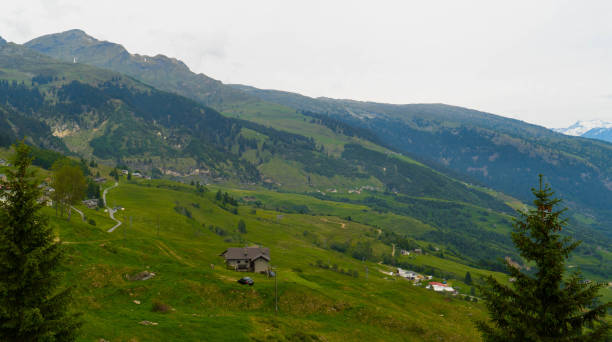 istock A sunny day in the Swiss Alps. 807520032