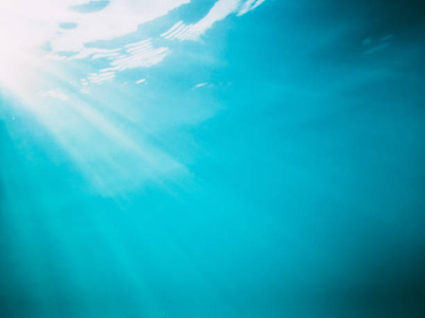 istock Wave underwater and sun rays. Blue ocean in underwater 807531040