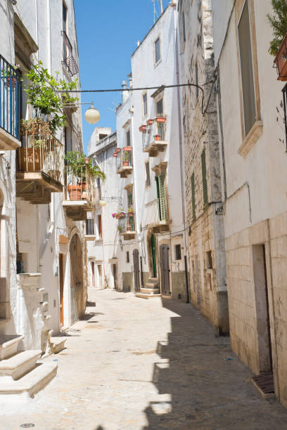 istock Alleyway. Putignano. Puglia. Italy. 807548070