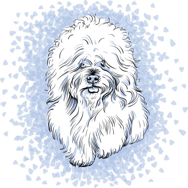 ilustraciones, imágenes clip art, dibujos animados e iconos de stock de vector blanco monada dog breed bichón frisé - long haired chihuahua mixed breed dog purebred dog long hair