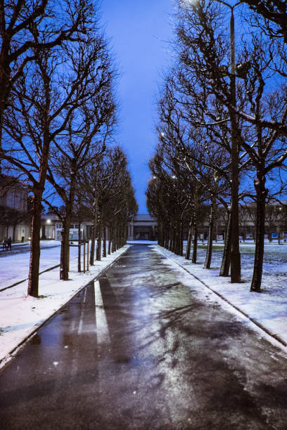 istock Snowy road into the distance 807574170