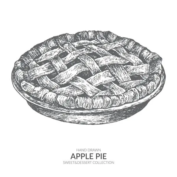 Vector illustration of Hand drawn apple pie with ink and pen. Vintage black and white illustration. Sweet and dessert vector element.