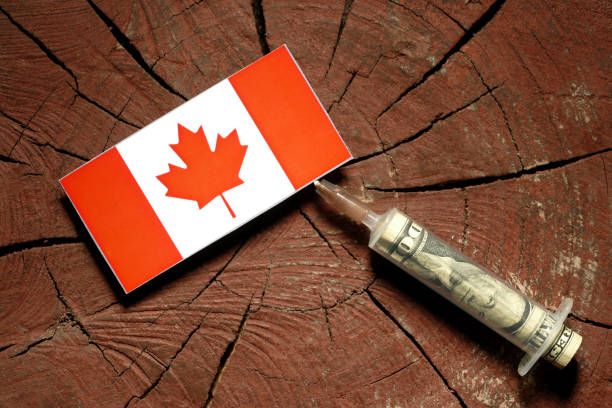 bandera canadiense en un tocón con jeringa de inyectar dinero en bandera - canada investment dollar canadian flag fotografías e imágenes de stock