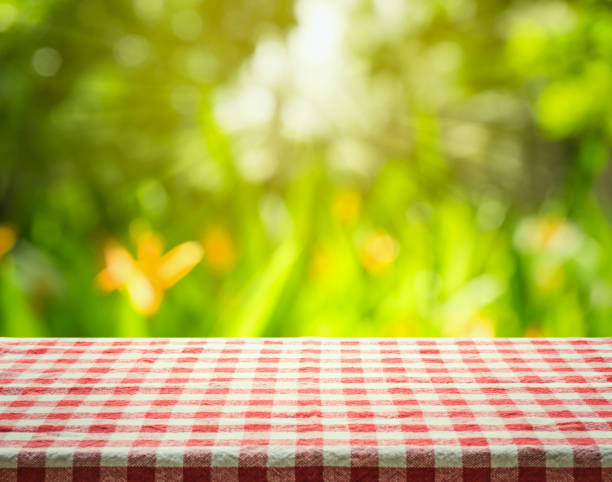istock Red checkered tablecloth on abstract green garden morning background. 807725310