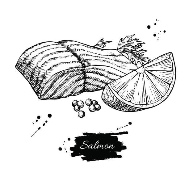 ilustrações, clipart, desenhos animados e ícones de ilustração em vetor mão desenhada de filé de salmão. frutos do mar vintage estilo gravado. - file