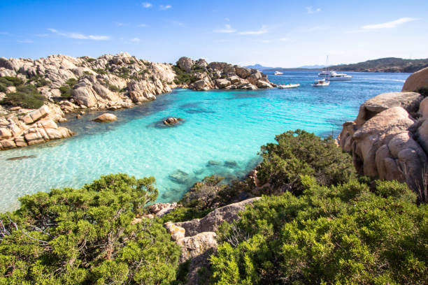 istock Beach of Cala Coticcio, Sardinia, Italy 807747714