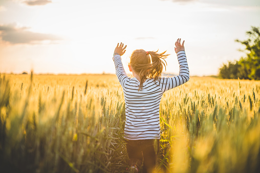 Little girl running cross the wheat field at sunset