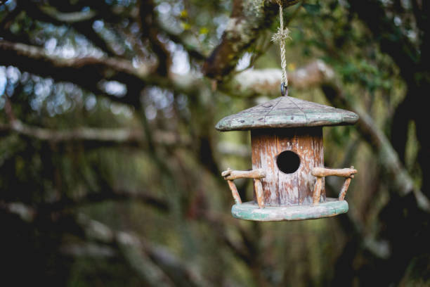 istock Swinging birdhouse in the woods 807784132