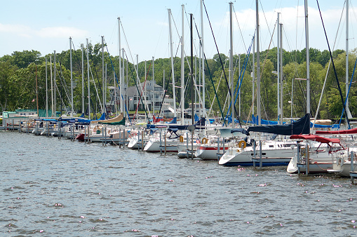 Several yachts lined up at berth on the Kalamazoo River in Saugatuck. Taken in Saugatuck, Michigan. 2017 Jun 05, Nikon D50