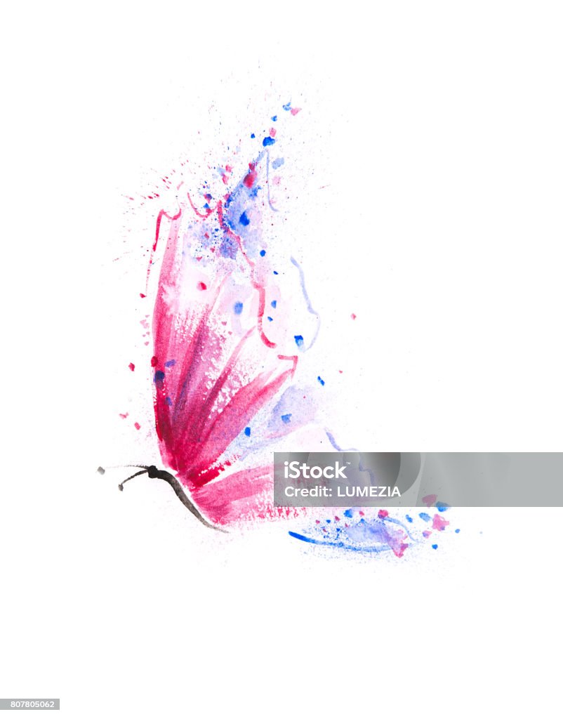 Beautifully hand painted butterfly with vibrant pink, purple  and blue wings Delicate and free, the butterfly's existence goes beyond what we see Butterfly - Insect stock illustration