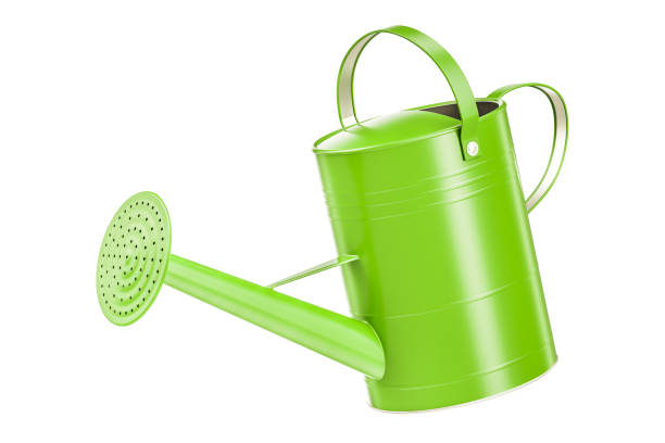 istock Green watering can, 3D rendering isolated on white background 807812494