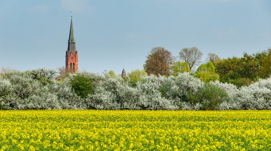 Tower and spire of St. Martin and town hall tower in Nienburg on the river Weser