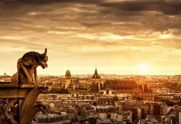 istock Gargoyle over Paris at sunset, France 807828592