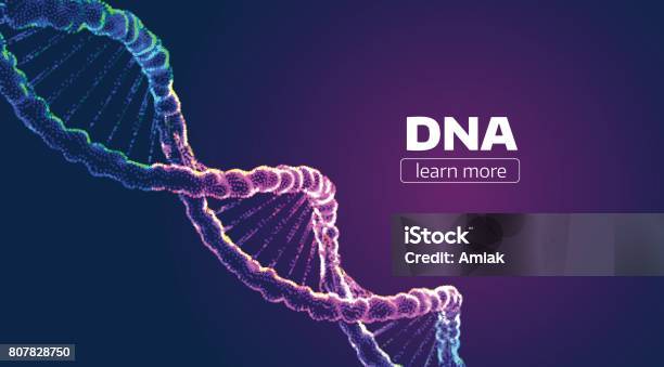 Abstraktes Vektor Dnastruktur Medizinischen Wissenschaft Hintergrund Stock Vektor Art und mehr Bilder von DNA