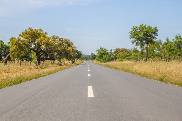 istock Road in Vale Seco, Santiago do Cacem 807837482