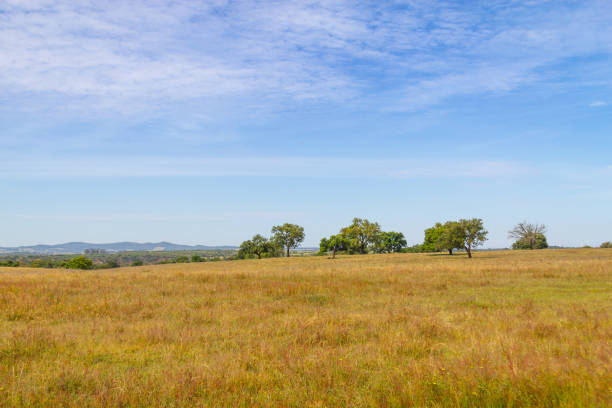 istock Farm field in Vale Seco, Santiago do Cacem 807844432