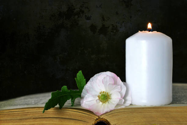 istock White candle, flower and book on grunge background 807847638