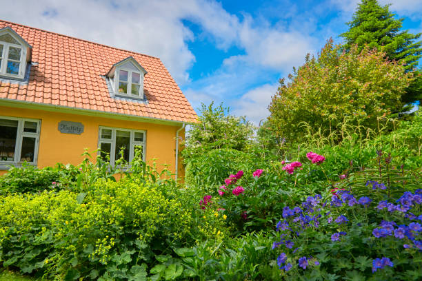 istock Garden in the countryside 807852548