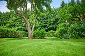 istock Garden in the countryside 807853016
