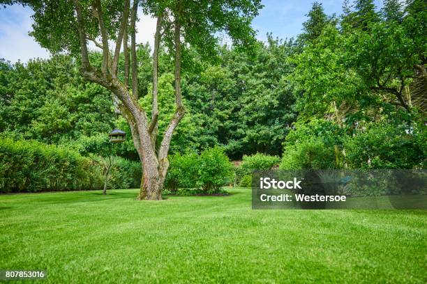 Garden In The Countryside Stock Photo - Download Image Now - Yard - Grounds, Lawn, Grass