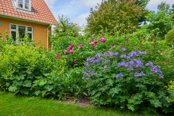 istock Garden in the countryside 807854030