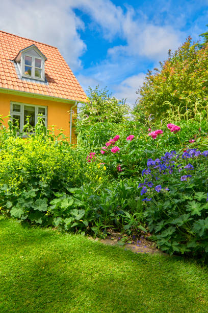 istock Garden in the countryside 807855164
