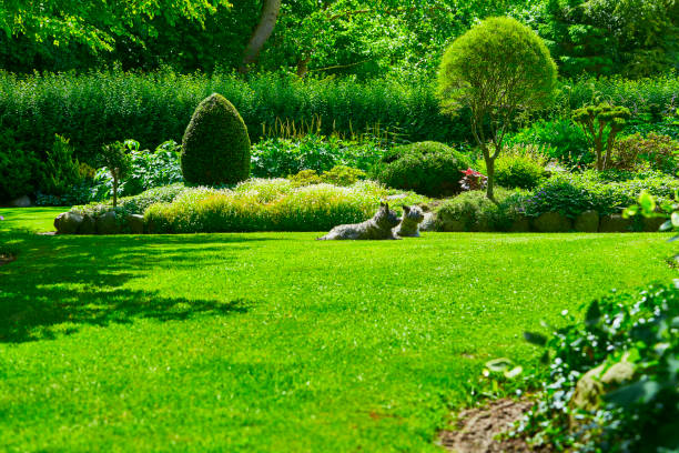 istock Garden in the countryside 807855722