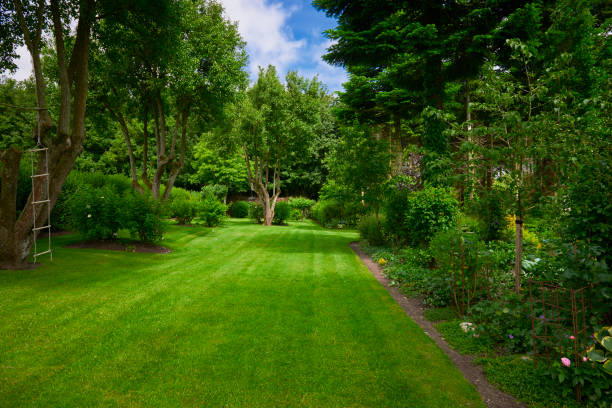 istock Garden in the countryside 807856384