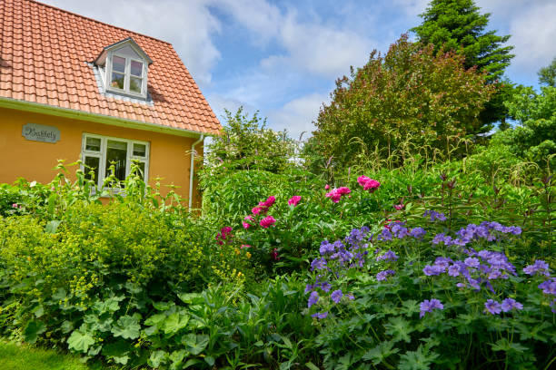 istock Garden in the countryside 807858850