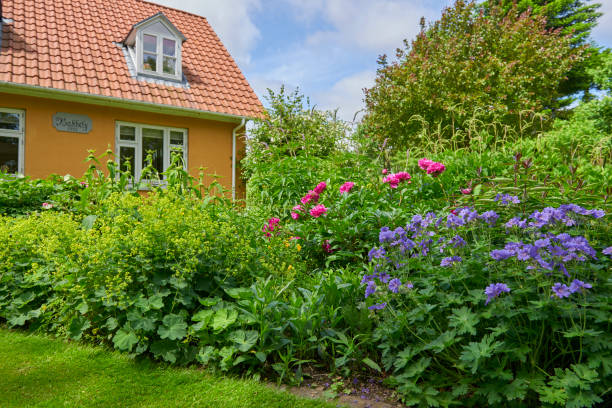 istock Garden in the countryside 807861794