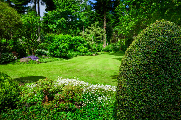istock Garden in the countryside 807862034