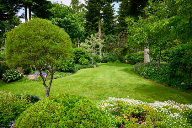 istock Garden in the countryside 807872520