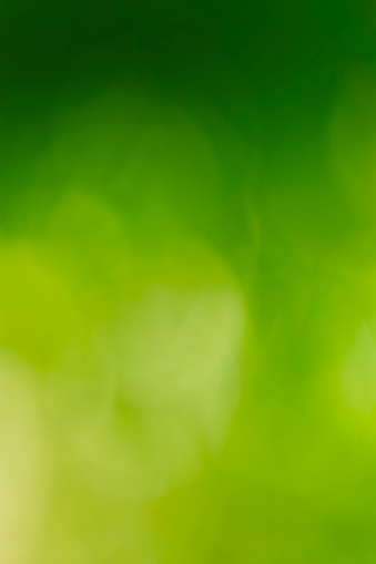 Abstract blurred green nature background with bokeh