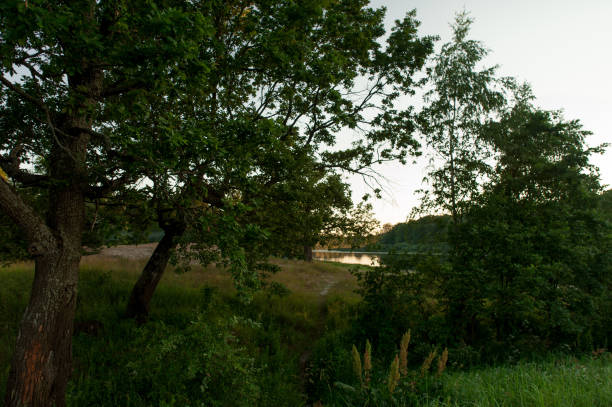 istock Beautiful landscape in Belarus during early summer evening. 807894206