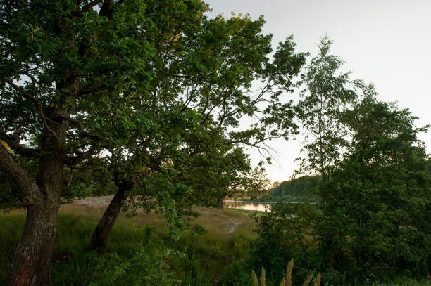istock Beautiful landscape in Belarus during early summer evening. 807894220