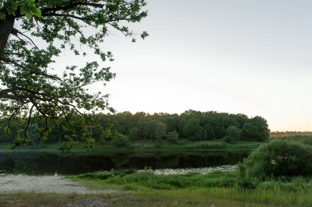 istock Beautiful landscape in Belarus during early summer evening. 807894362