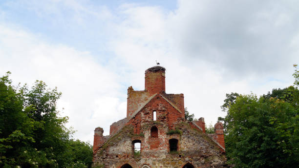 istock Stork on ruins of Church 807904852