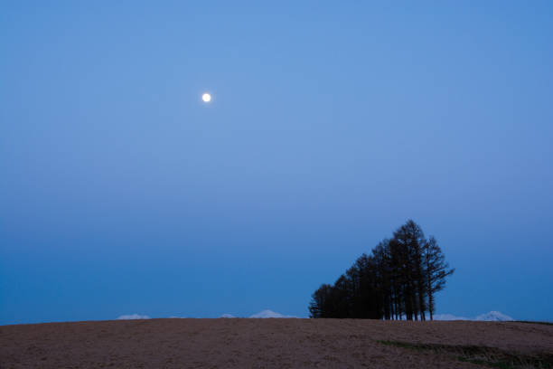 istock The full moon in the sky at dusk 807954022